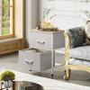 imageWLIVE Night Stand Small 2 Drawer Dresser Nightstand with Fabric Bins for Bedroom Closet Dorm Rustic Brown Wood Grain Print 118quot D x 157quot W x 209quot HLight Grey