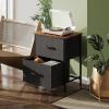 imageWLIVE Night Stand Small 2 Drawer Dresser Nightstand with Fabric Bins for Bedroom Closet Dorm Rustic Brown Wood Grain Print 118quot D x 157quot W x 209quot HBlack and Rustic Brown