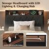 imageWLIVE Queen Size Upholstered Bed Frame with 2 Side Shelves Linen Tufted Storage Headboard with Charging Ports and LED Light Metal Solid and Stable No Box Spring Needed Easy Assembly BeigeBlack