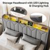 imageWLIVE Full Size Upholstered Bed Frame with 2 Drawers Storage Headboard Platform Bed with Charging Station and LED Light Sturdy Metal amp Wooden Slats Support No Box Spring Needed Light GreyGrey