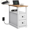 image:imageWLIVE End Table with Charging Station Narrow Side Table for Living Room Farmhouse Nightstand with Storage Small Wooden Cabinet with USB Ports and Outlets for Living Room and Bedroom CherryWhite