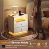 image:imageWLIVE LED Nightstand with Wireless Charging Station Motion Sensor LED Bedside Table 2 Drawers and 1 Open Storage Shelf Modern Night Stand for Bedroom amp Gaming Room BlackWhite