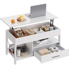 image:imageWLIVE Round Lift Top Coffee Table with Storage Shelf and Hidden Compartment Farmhouse Small Coffee Table with 2 Tier for Living Room and Home Office Rustic BrownWhite
