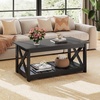 image:imageWLIVE 2Tier Coffee Table with XShape Frame Classic WhiteClassic Black
